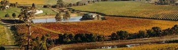 The Cellar Door, situated on the vineyard, provides some of the best views of the Yarra Valley, as well as direct viewing of a working winery from the sales and tasting area.