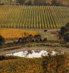 The Cellar Door is open seven days per week (except on Christmas Day) from 10.00am &ndash; 5.00 pm. 